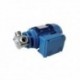 Pompa Coassiale inox Major trifase 830 l/m